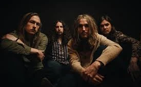 The Band Feel