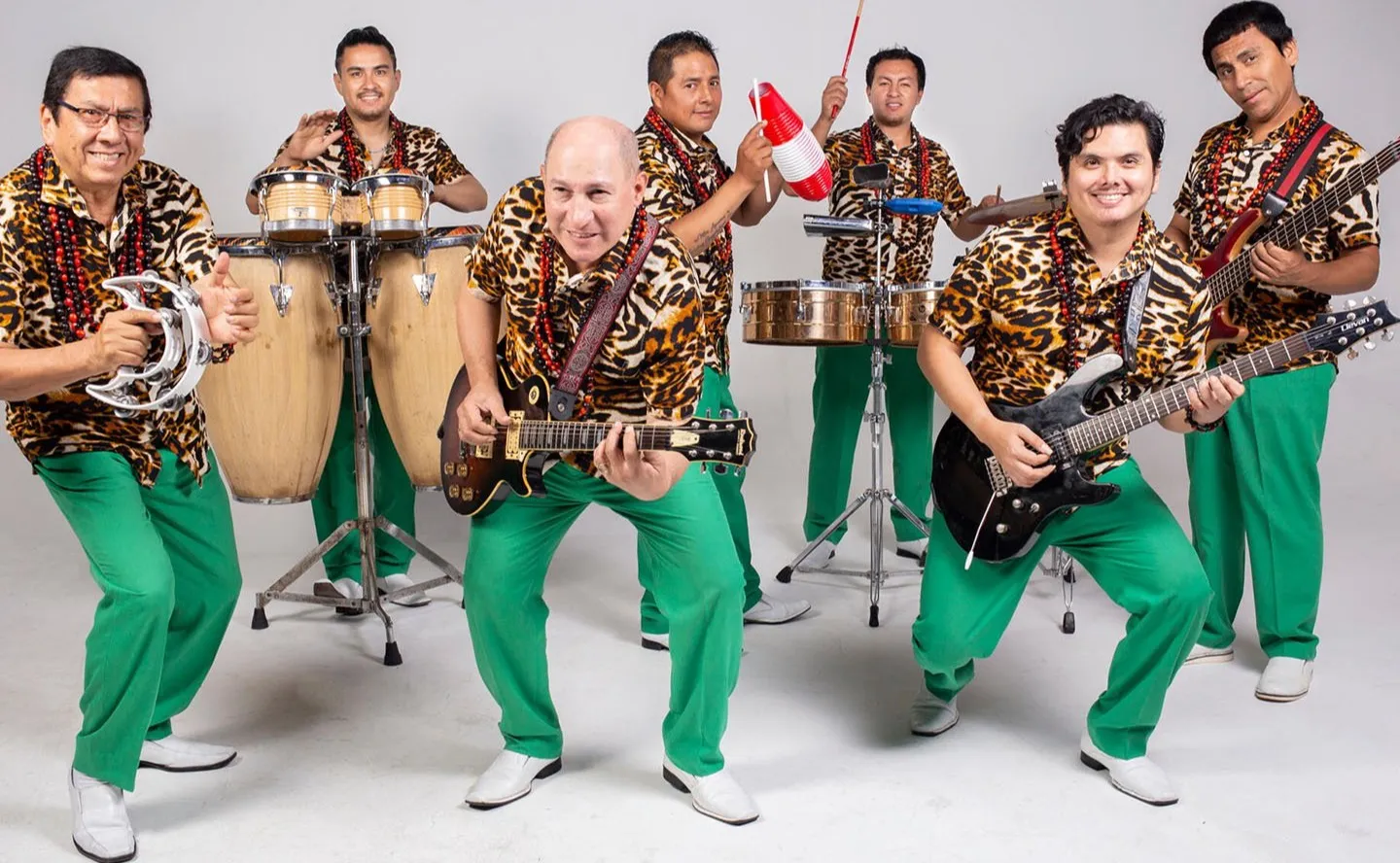 Los Mirlos
