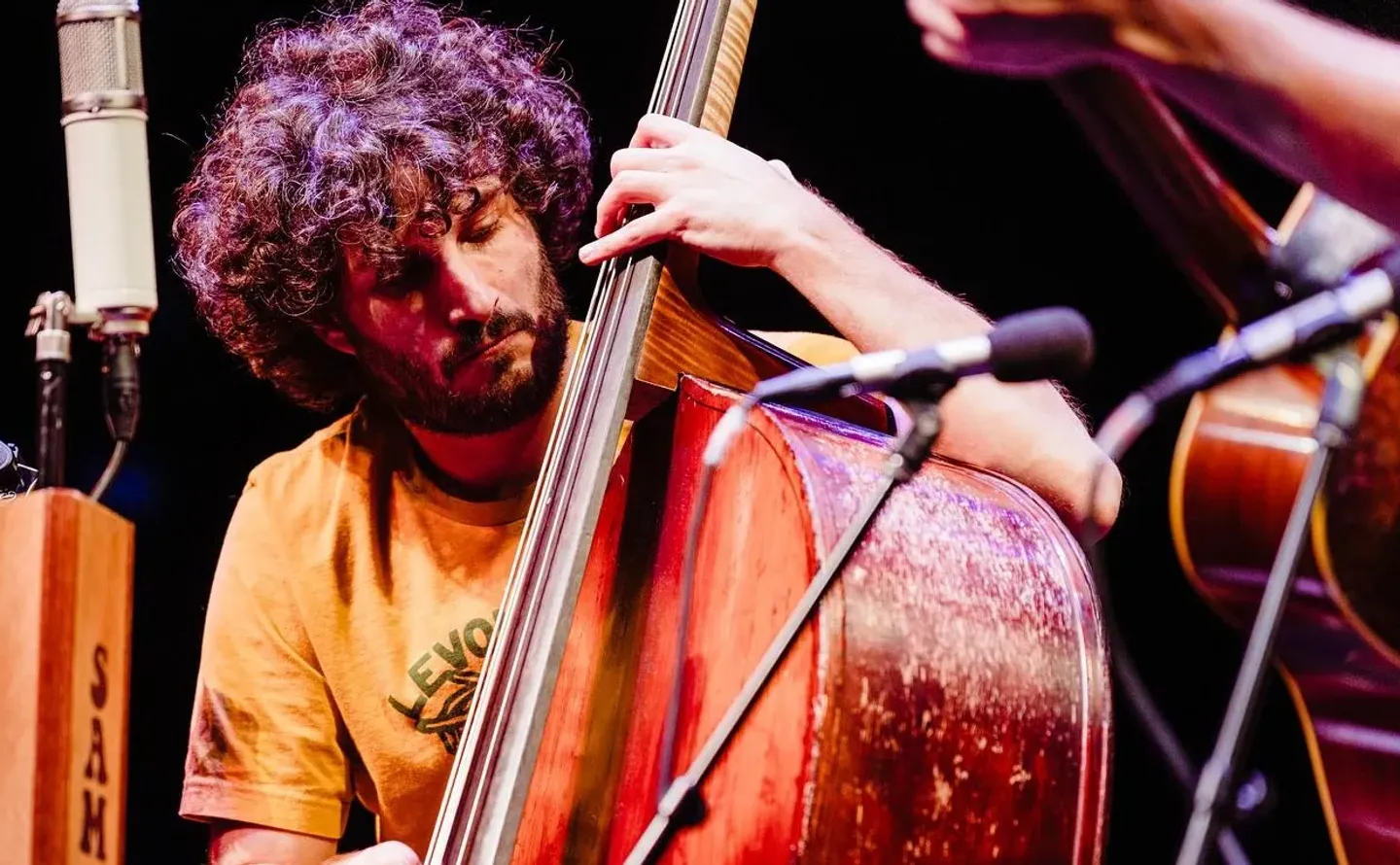 Sam Grisman Project